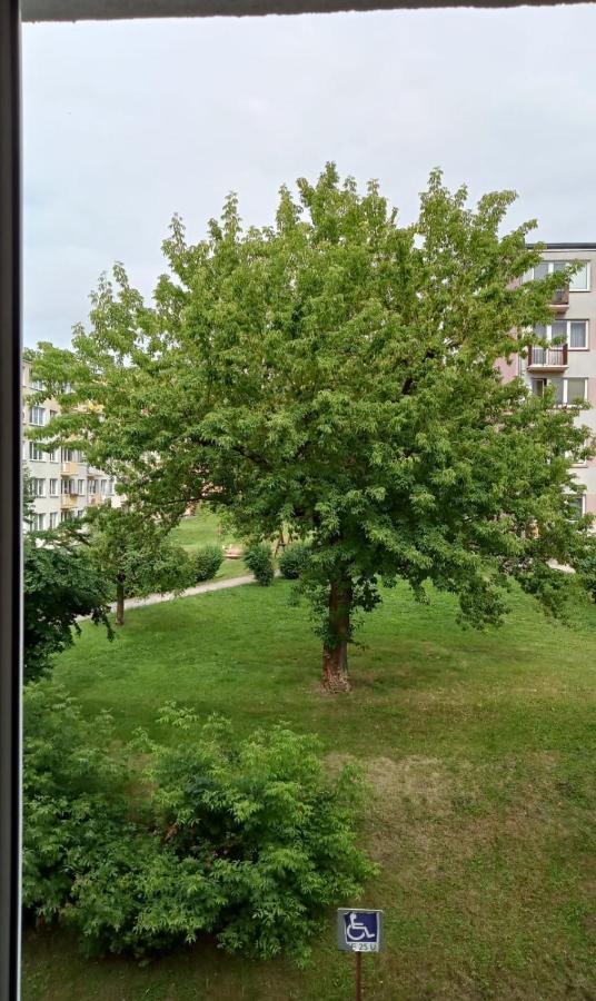 Apartament Mazury 肯琴 外观 照片