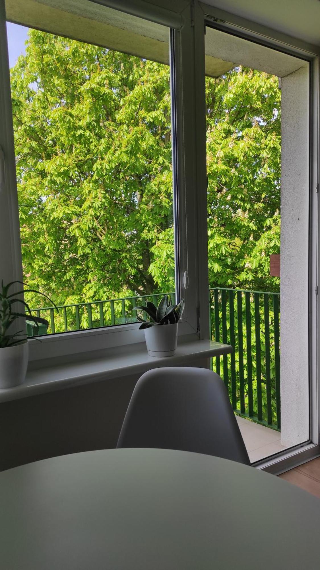 Apartament Mazury 肯琴 外观 照片